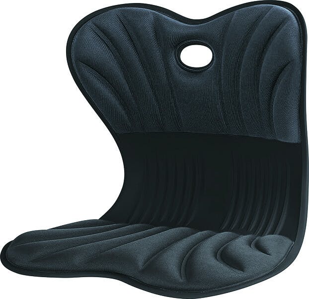 美姿勢サポートチェア スワンル ボーテ   【ブラック】  【送料込み】 ＃4573242550368 flife