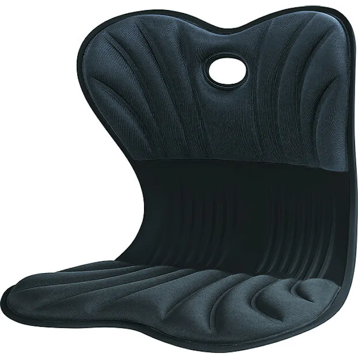 美姿勢サポートチェア スワンル ボーテ 【ブラック】 【送料込み】 #4573242550368 flife