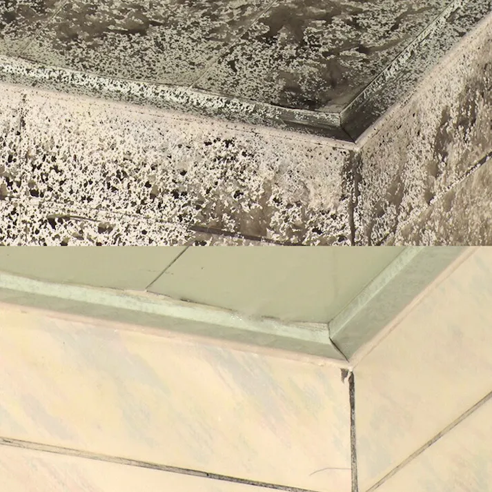 ジアハイパー 【2本セット】 【送料込み】 #4589978832388 flife