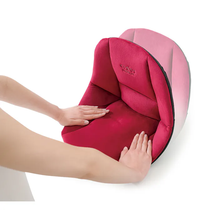 サポートクッション コシオスプレミアム 【2個組】【ブラック】 【送料込み】 #4589978833293 flife