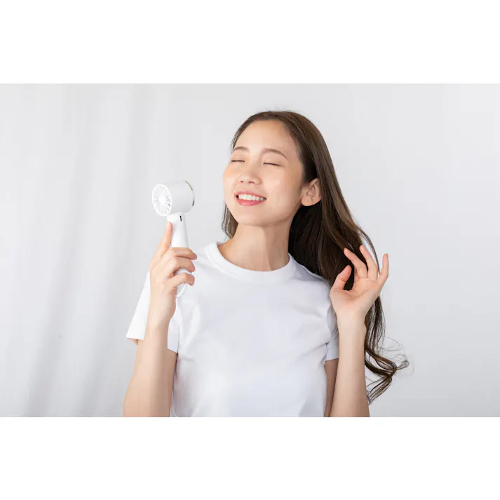 ペルチェクールハンディファン 【ベージュ】 【送料込み】 #4570060547617 flife