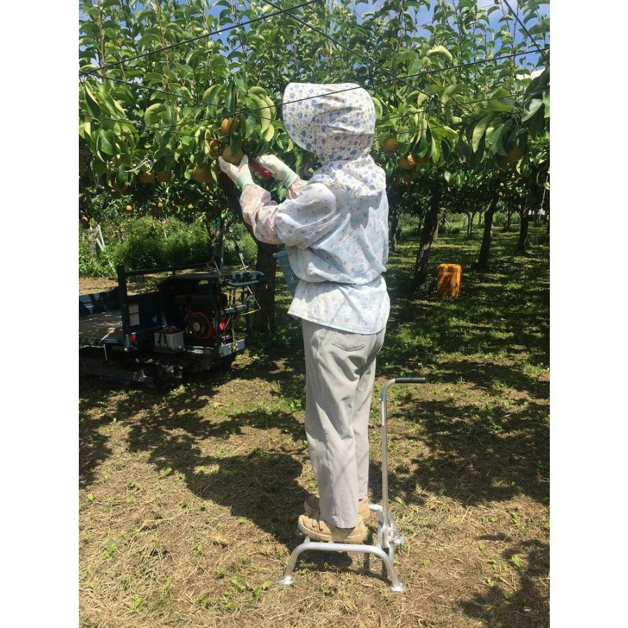 アルミステップ　高さ30cm 果樹用踏み台　棚下　造園　剪定　洗車　手すり付き アルミステップ SH-30 高さ30cm 果樹用踏台 棚下用 造園 剪定 洗車