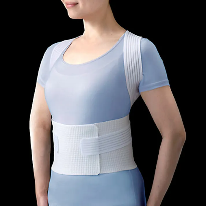 ハイダス 背中サポートベルト 【送料込み】 #a20524 flife