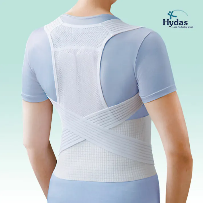 ハイダス 背中サポートベルト 【送料込み】 #a20524 flife