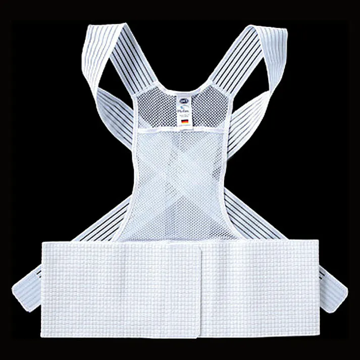 ハイダス 背中サポートベルト 【送料込み】 #a20524 flife