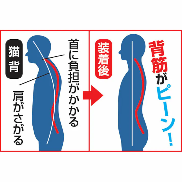 ハイダス 背中サポートベルト 【送料込み】 #a20524 flife