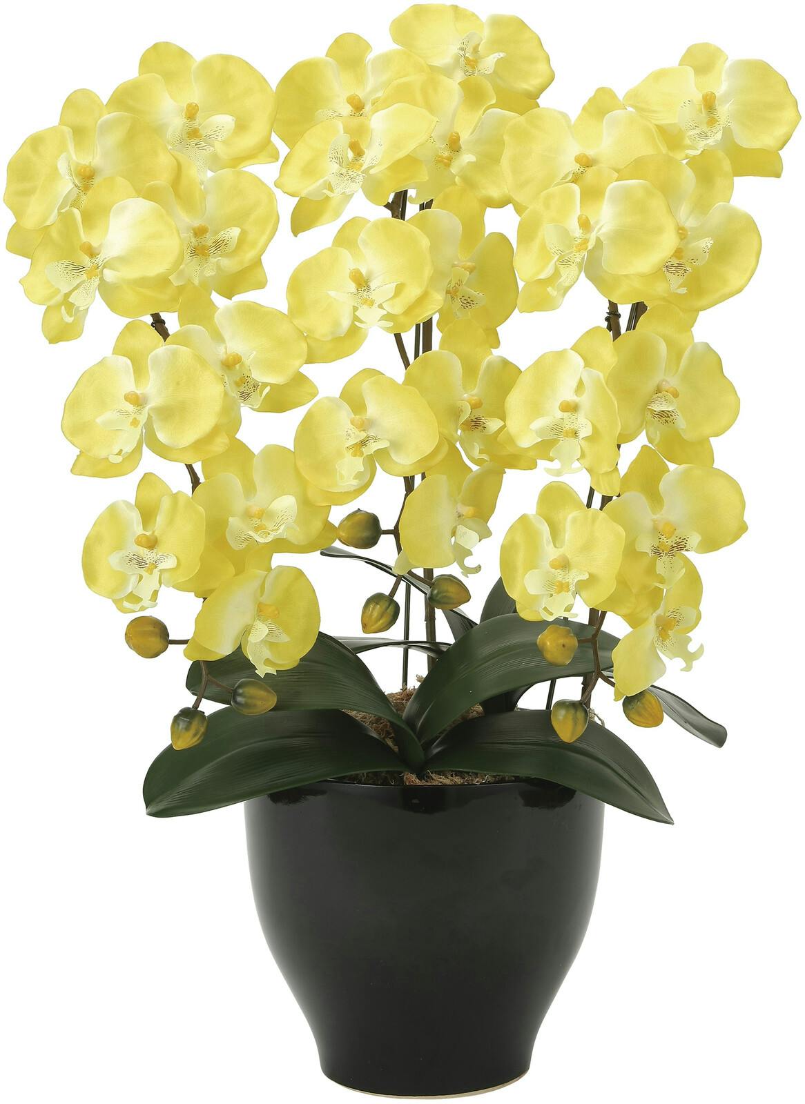 光触媒加工アートフラワー 胡蝶蘭セリース 【イエロー】  【送料込み】 ＃a3251410 flife