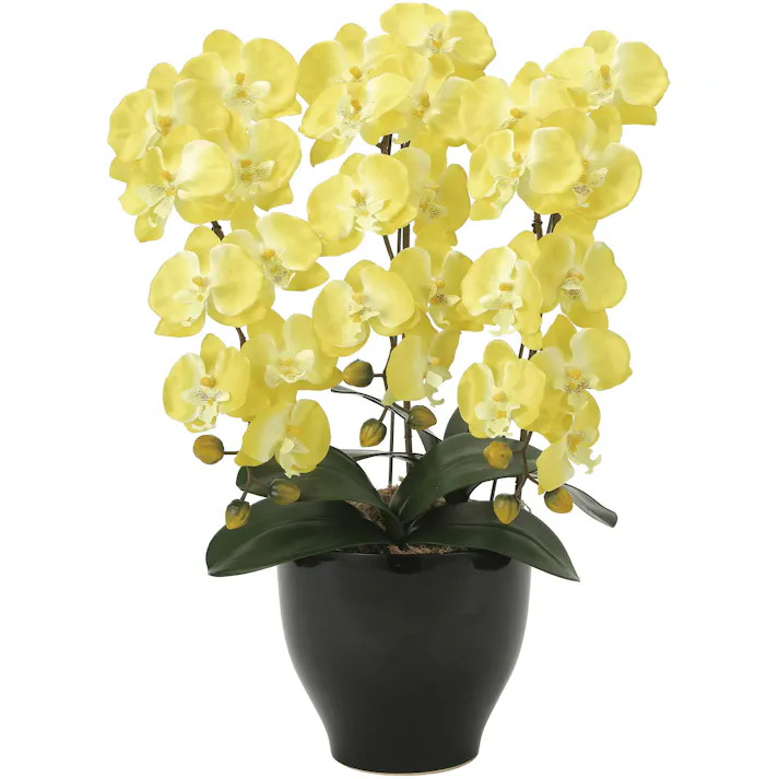 光触媒加工アートフラワー 胡蝶蘭セリース 【イエロー】 【送料込み】 #a3251410 flife