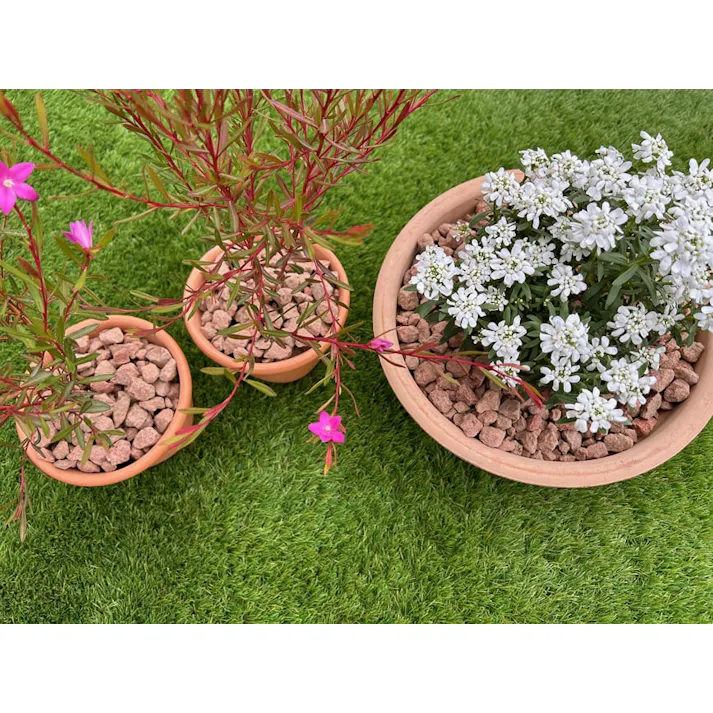 砂利 庭 化粧砂利 アプリコットオレンジ 20kg ドライガーデン 石 おしゃれ かわいい クラッシュストーン オレンジ レッド 赤 レンガ色 カラー砂利 庭石 砕石 ガーデン 洋風砂利 ガーデニング 庭砂利 約10mm-20mm