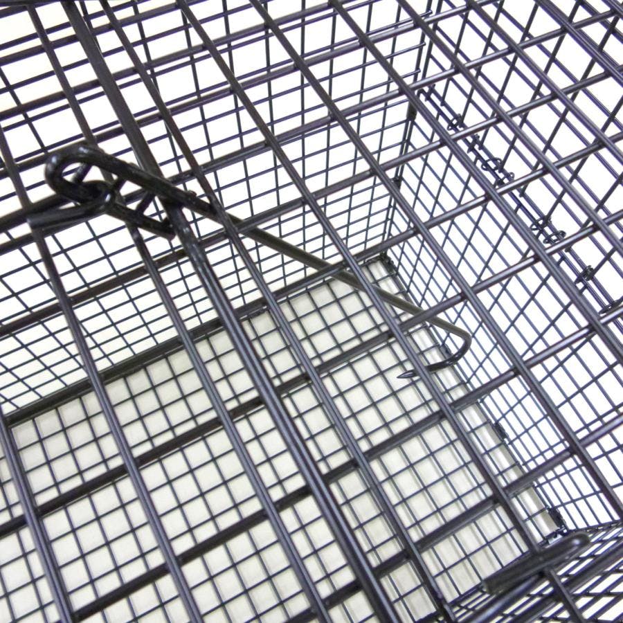 アニマルキャッチャー L 370mm×360mm×930mm TA-36 シンセイ 捕獲