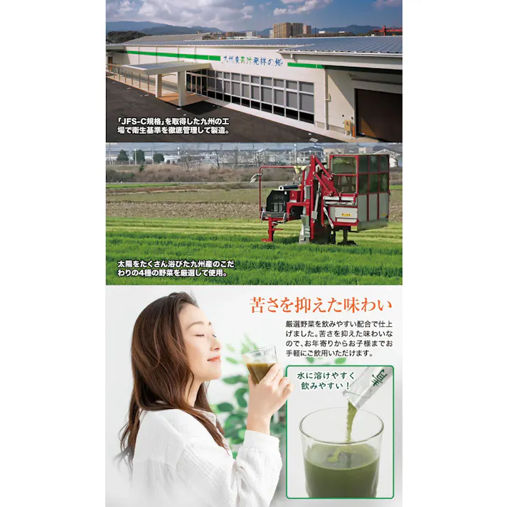 4種の九州産野菜青汁 【60包】 【送料込み】 #4589978827193 flife