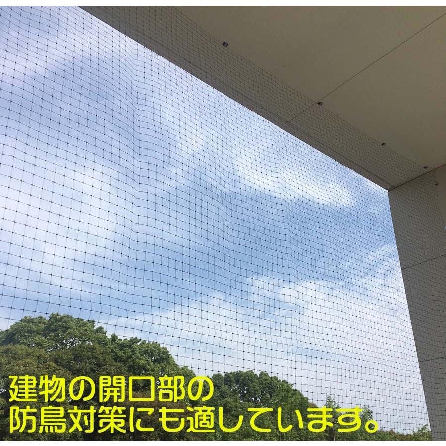 軽々バードネット 黒 12mm目 2m×50m 防鳥ネット 鳥よけ ダイオ化成 軽々バードネット 黒 12mm目 2m×50m 防鳥ネット 鳥よけ ダイオ化成