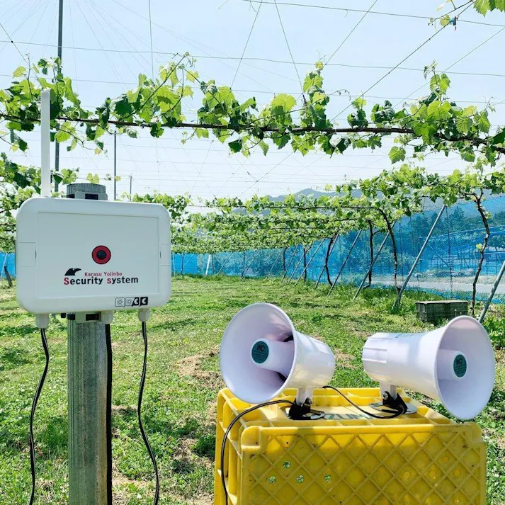 カラス用心棒SS(エスエス) KRS-SS1 【送料無料】
