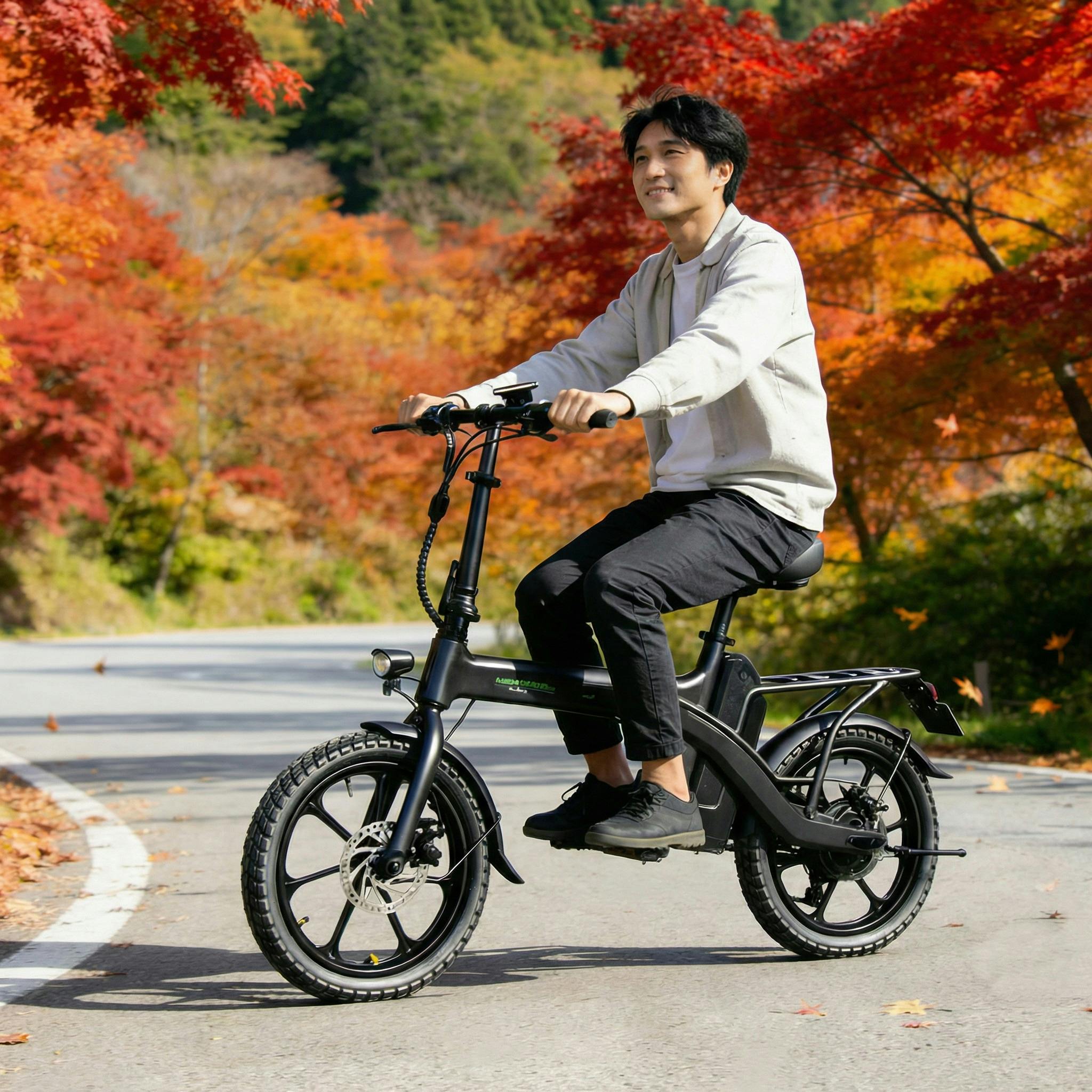 EcoLink エコリンク 免許不要の特定小型原動機付自転車 型式認定取得済 