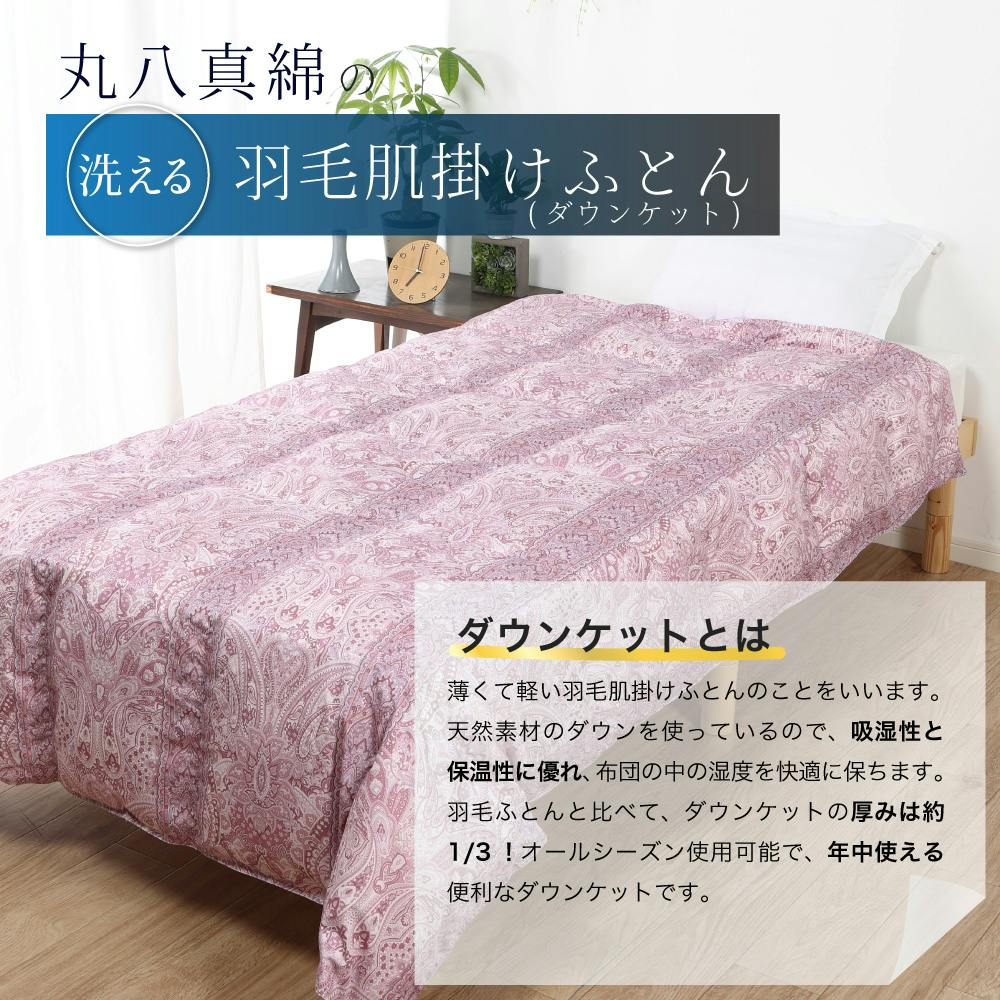 ハンガリー産ホワイトダックダウン85％ 羽毛肌掛け布団 セミダブル