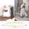 アニマルドアストッパー ぬいぐるみ 動物 かわいい 室内 子供 扉ストッパー アニマル 可愛い ネコ 猫