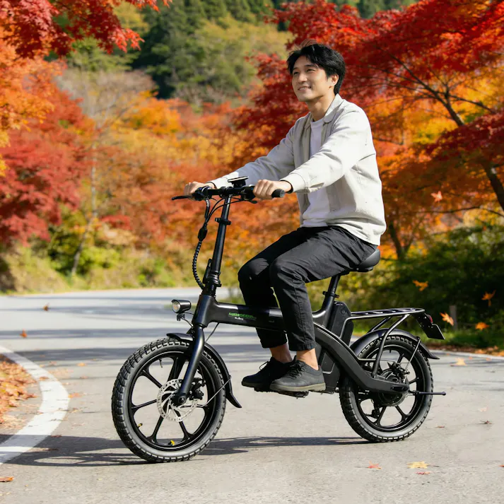 【数量限定アウトレット】特定小型原付 EcoLink エコリンク 免許不要 型式認定JATA-0165 電動モビリティ 公道走行可能 16歳以上 通勤 買い物 自転車から乗り換え