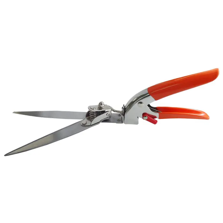 大進 芝スパイク と 回転式 芝生鋏 ステンレス のセット 芝 エアレーション スパイク 芝生の手入れ ガーデニング 農業 庭 芝生用スパイク シバ 芝穴あけ器 芝生 supaiku-kaitennhasami