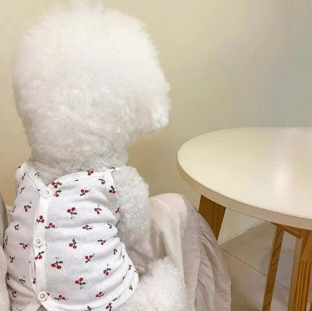 犬 犬服 春 夏 夏服 背中開き 着せやすい 背中閉じ 犬の服 犬用服 背開きキャミソール お出かけ 涼しい チェリー さくらんぼ