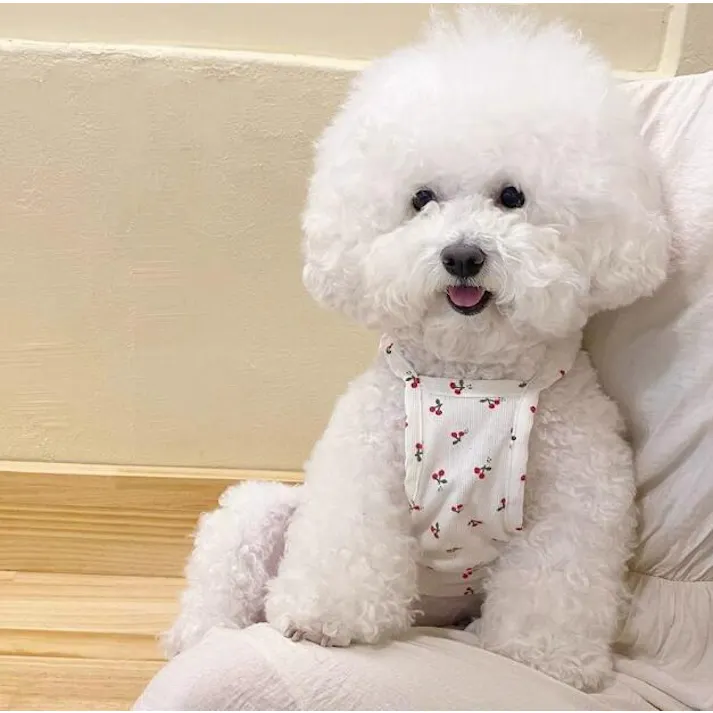 犬 犬服 春 夏 夏服 背中開き 着せやすい 背中閉じ 犬の服 犬用服 背開きキャミソール お出かけ 涼しい チェリー さくらんぼ