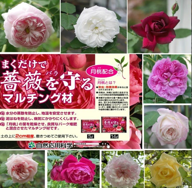 まくだけで薔薇を守るマルチング材 5Lx5袋 月桃配合 病気予防 泥はね防止 乾燥防止 地温安定 土壌改良 水はけ 黒点病 自然応用科学 バーク堆肥 ［ソラニワ］000232