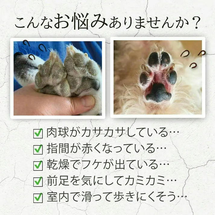 【アトペット フコロジーエッセンス 100ml お得な2本セット】 ラムズマークス ちあふる 犬・猫の深刻な乾燥肌に。もずくフコイダン高配合の皮膚バリア保湿美容液。舐めても安心。肉球や指間ケア。ベタつかない。ステロイド不使用・無添加。日本製 JAN:4580173980775