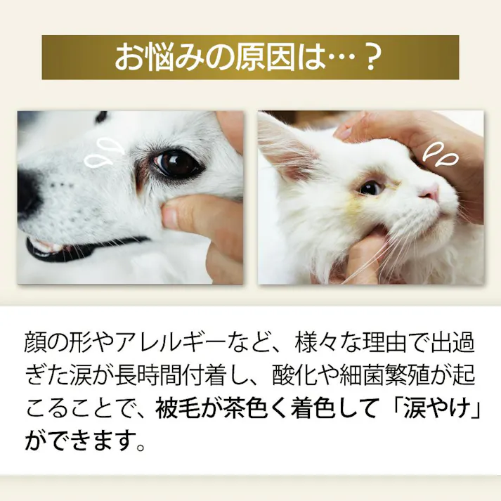 【アトペット フコロジー ナミダケア 31ml お得な2個セット】ラムズマークス ちあふる トリマー監修。汚れを分解除去。低刺激設計。舐めても安心。無香料。ヨダレやけや耳掃除にも使える美。日本製 涙やけ 目やに JAN:4580173980829