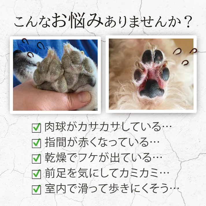 【アトペット フコロジーエッセンス 100ml】 ラムズマークス ちあふる 犬・猫の深刻な乾燥肌に。もずくフコイダン高配合の皮膚バリア保湿美容液。舐めても安心。肉球や指間ケア。ベタつかない。ステロイド不使用・無添加。日本製 JAN:4580173980775