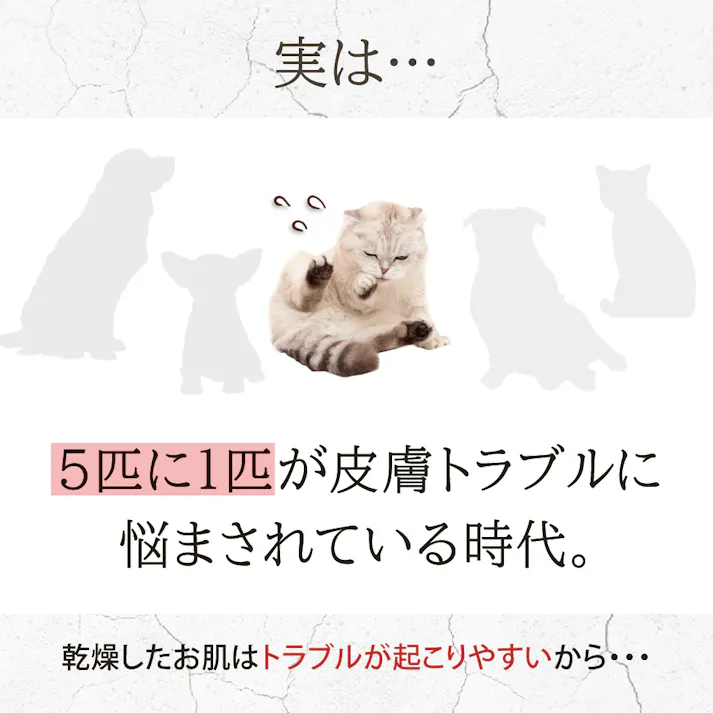 【アトペット フコロジーエッセンス 100ml】 ラムズマークス ちあふる 犬・猫の深刻な乾燥肌に。もずくフコイダン高配合の皮膚バリア保湿美容液。舐めても安心。肉球や指間ケア。ベタつかない。ステロイド不使用・無添加。日本製 JAN:4580173980775