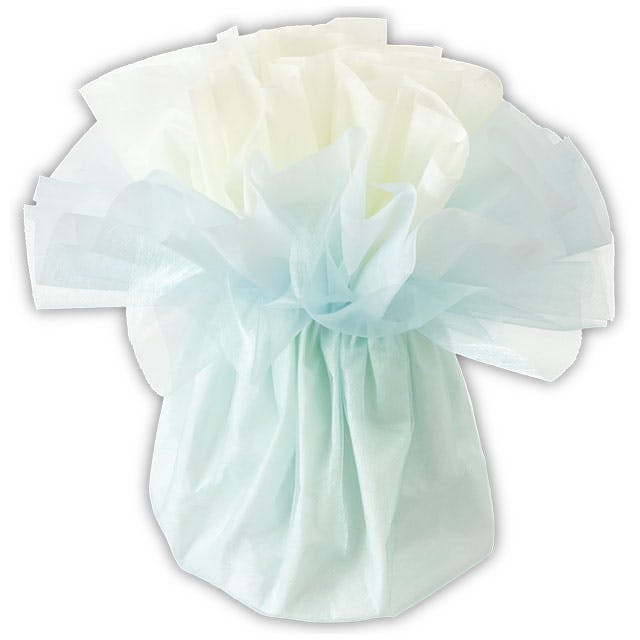 ヘッズ  ラッピング袋 W260×D260×H200mm ライトブルー 10枚 フロットンスタンディングブーケラッピングM HEADS FSD-WM7