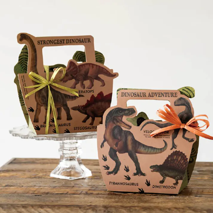 ヘッズ ギフトボックス W195×D90×H190mm ブラウン 10枚 ダイナソー バッグ型 HEADS DI-GB1