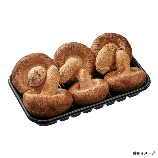 【3000点/ケース】フルーツ容器 椎茸 3号L BK 【送料込み】 中央化学