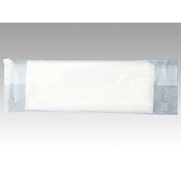 【1600点/ケース】業務用紙おしぼり レギュラー 平 181×240MM 【送料込み】 パックスタイル
