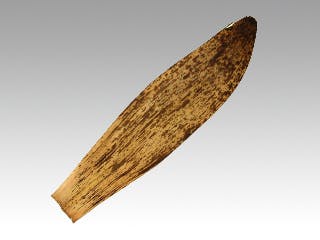 【1点/バラ】竹皮 天むす用 1kg(約150枚) 【送料込み】
