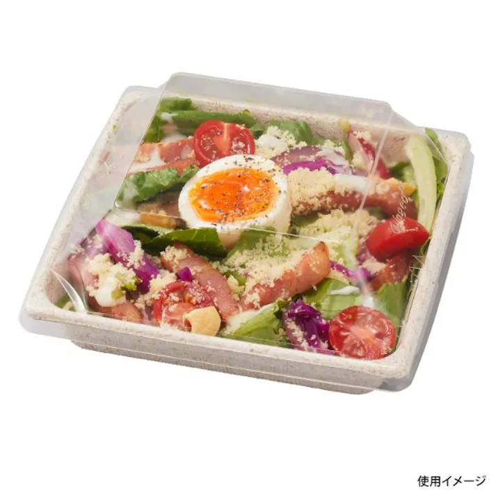 【1000点/ケース】フルーツ容器 WB 14-14 【送料込み】 パックスタイル