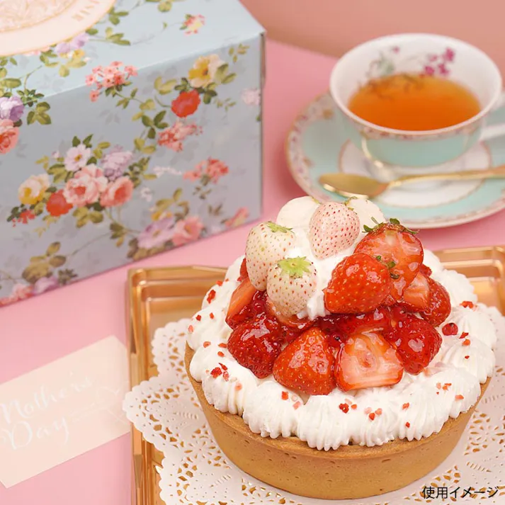 【500点/ケース】レースペーパー ドイリー 丸レース9号 白 230mmφ 【送料込み】