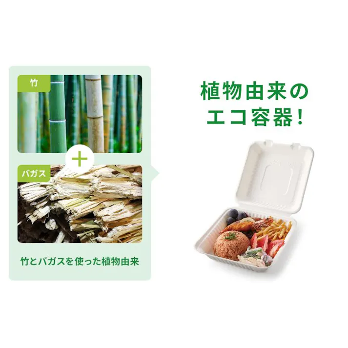 【50点/バラ】弁当容器 新ABランチ200-200-3 【送料込み】 パックスタイル