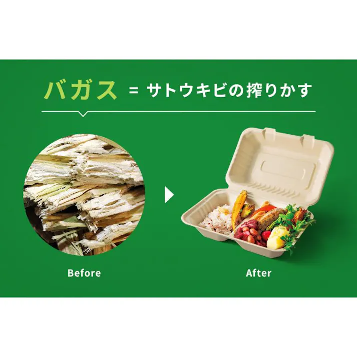 【50点/バラ】弁当容器 新ABランチ200-200-3 【送料込み】 パックスタイル