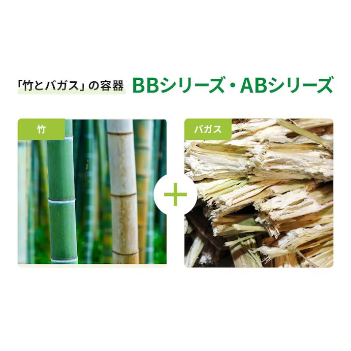 【50点/バラ】弁当容器 新ABランチ200-200-3 【送料込み】 パックスタイル