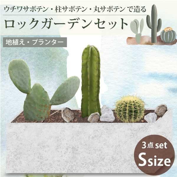 ロックガーデンセット ［H］サボテンで造るロックガーデン 3品種［G］［ソラニワ］