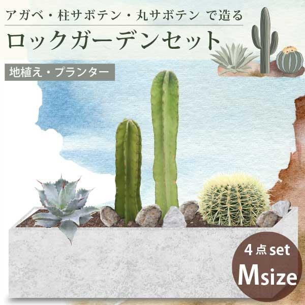 ロックガーデンセット ［I］アガベとサボテンで造るロックガーデン 4品種［G］［ソラニワ］