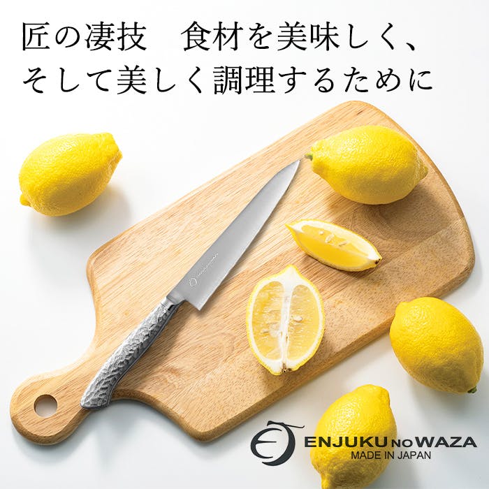 ペティナイフ 15cm オールステンレス 日本製 包丁 料理 果物 ナイフ
