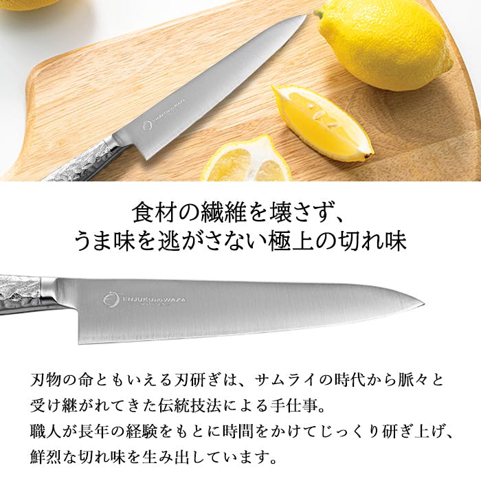 ペティナイフ 15cm オールステンレス 日本製 包丁 料理 果物 ナイフ