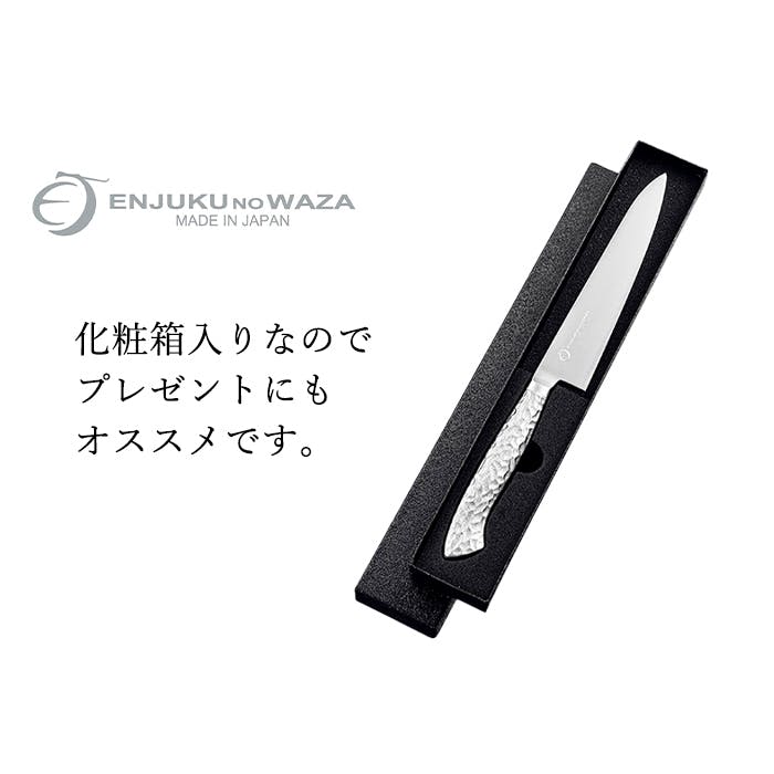 ペティナイフ 15cm オールステンレス 日本製 包丁 料理 果物 ナイフ