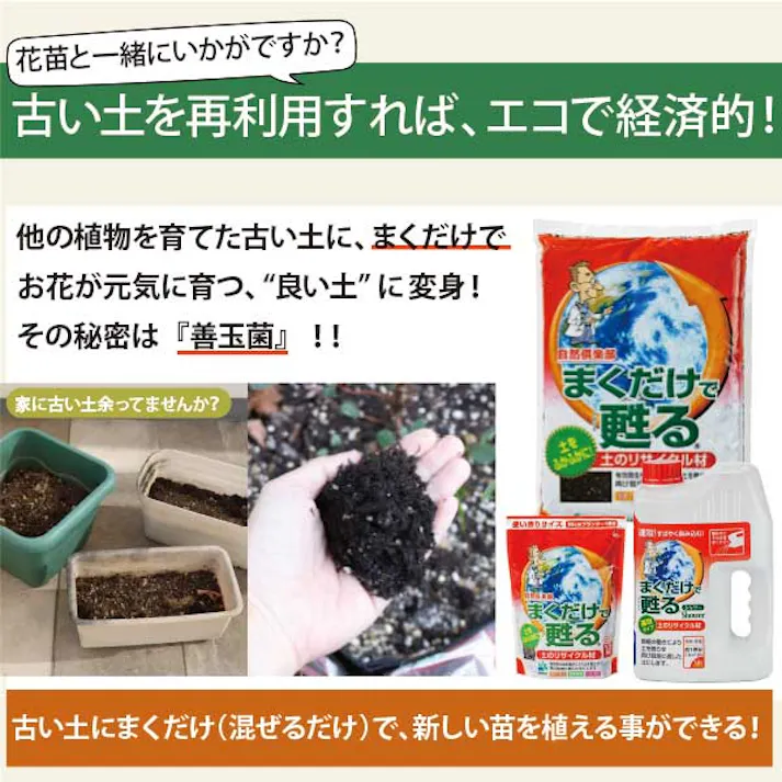 マリーゴールド カラーmix 40個 セット(3号 9cmポット)花苗 ソラニワ 夏の花苗 初心者 寄せ植え 暑さに強い コンパニオンプランツ 花壇