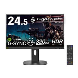 �u5�N�ۏ؁v24.5�^�Q�[�~���O���j�^�[ �f�B�X�v���C