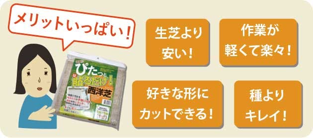 貼るだけ！ 芝生シート（9セット） 5m×18ロール 天然芝 西洋芝 90平方m