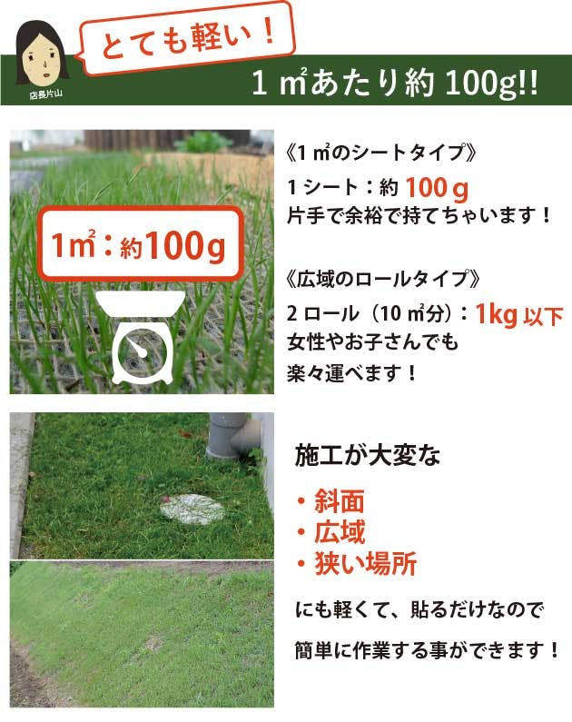 貼るだけ！ 芝生シート（6セット） 5m×12ロール 天然芝 西洋芝 60平方m