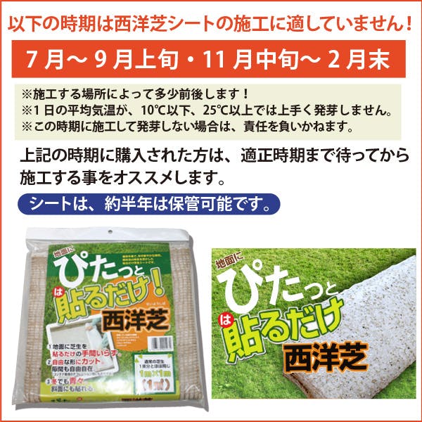 貼るだけ！ 芝生シート（6セット） 5m×12ロール 天然芝 西洋芝 60平方m