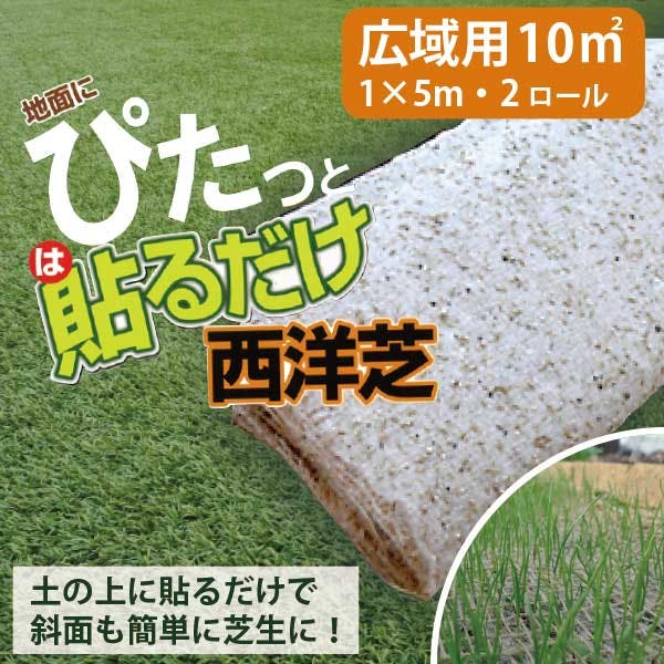 天然芝 最高の質感へのこだわり』より天然芝に近づけた『6葉MIX 高密度54万本